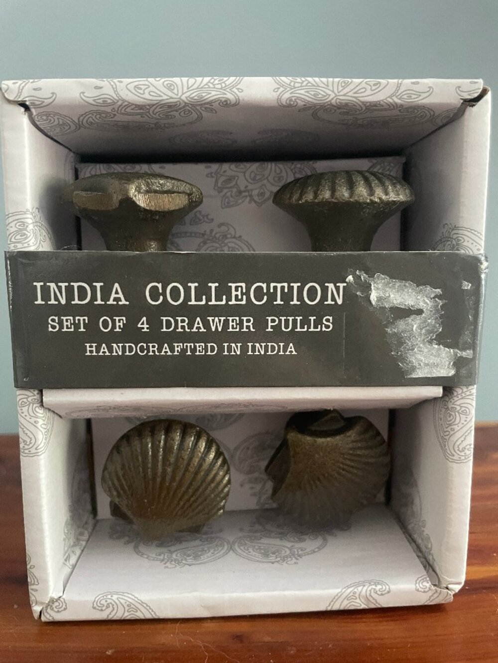 Brass Seashell Drawer Pull Scallop Set of 4 India Collection NEW Made in India